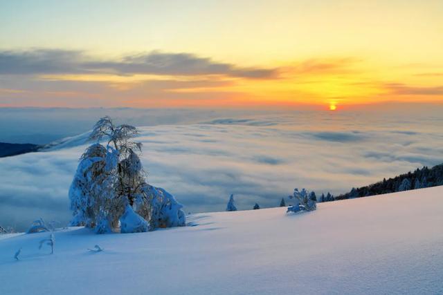 徒步踏雪去!沉浸式打卡龙江冬日奇观