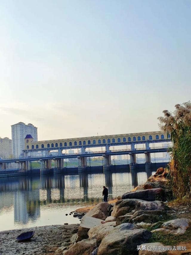 公交直达冬日限定“小东非”，带娃解锁长沙safari隐藏玩法！