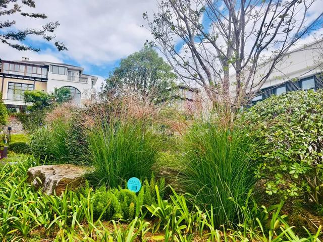 遛娃好去处+1！民主公园建设完成啦~