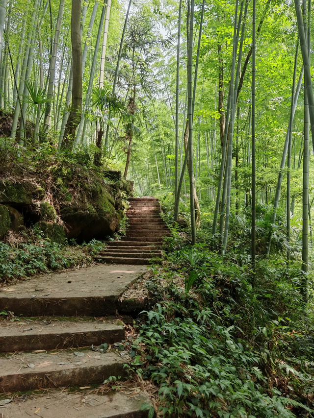 实测低9℃！成都1.5h的免费溯溪玩水遛娃路线，超安逸！