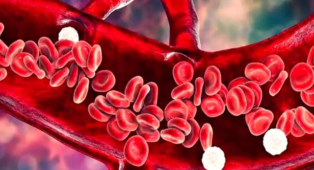 双腿决定寿命，别让寿命减在腿上！练腿，从60岁开始都不晚