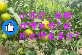 小苏打、白醋复配能打蚜虫吗？使用比例是多少？图片