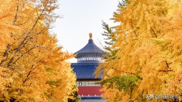 北京叶正红，不止香山，还有这几个。