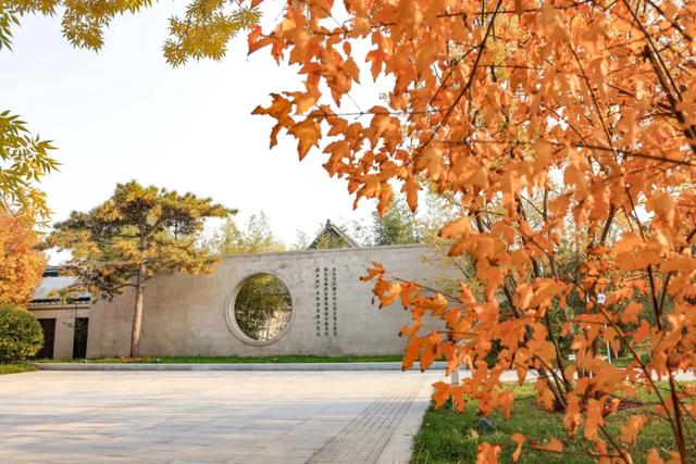 从从容容游刃有余!把江南的秋天“搬进”石景山——