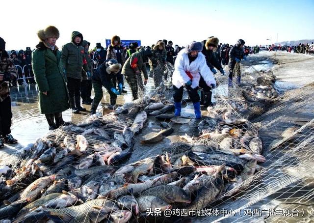 【迎旅发 看鸡西】一键解锁鸡西7种冬日玩法！ 从冬捕到寻味，总有一条路线适合你~