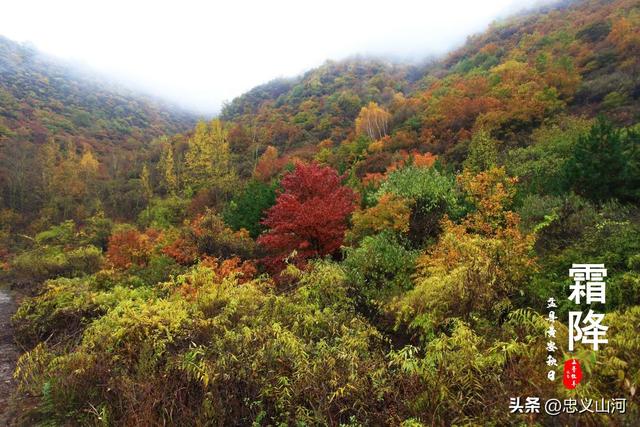 盂县24节气风光——霜降