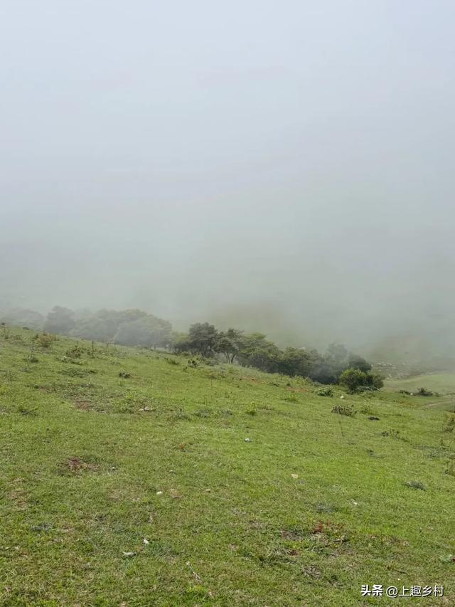 五一“逃跑”计划：去乡村，见天地！