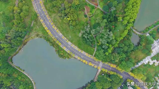 重大限定皮肤上新,超出片!🤳