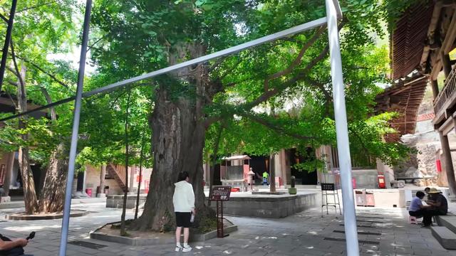 寻宝晋城 | 晋魏河山第一寺，走进山中古刹青莲寺