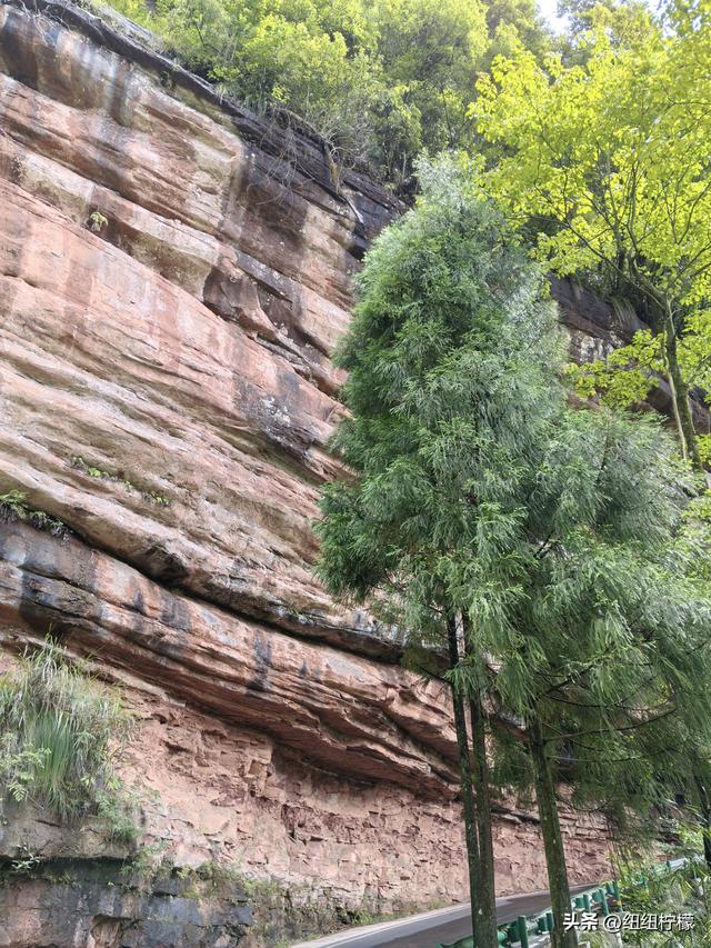 在江津四面山景区看了瀑布爬了梯，又坐了超级滑道听了潺潺流水声