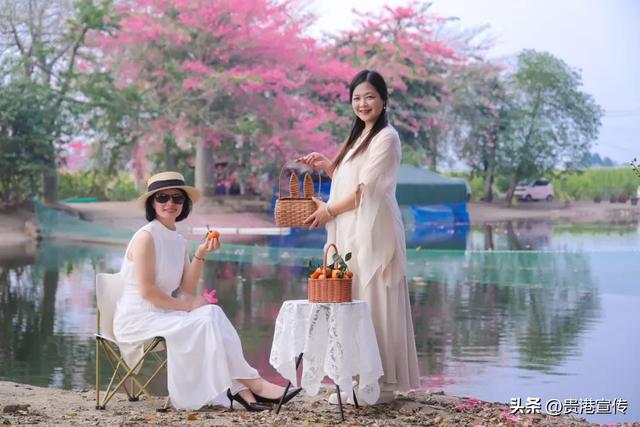 这个鲜花盛开的地方，去过的人都说好！