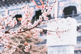 寺庙游挤爆了！钟灵禅寺成新网红打卡地！图片