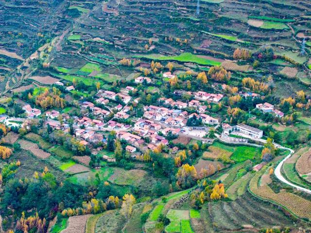 毛羽山，万亩松林鎏金。