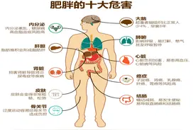 心动吗！4个月减掉40斤，科学减重让你“吃好吃饱”图片