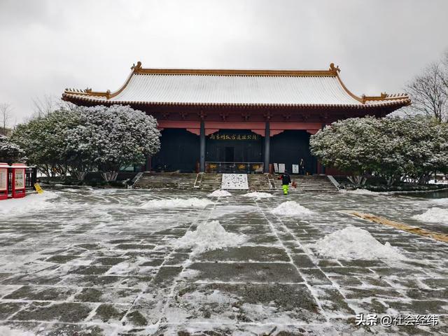 每日一景|大寒雪落金陵 明故宫梧桐披银 市民漫步享冬日诗意
