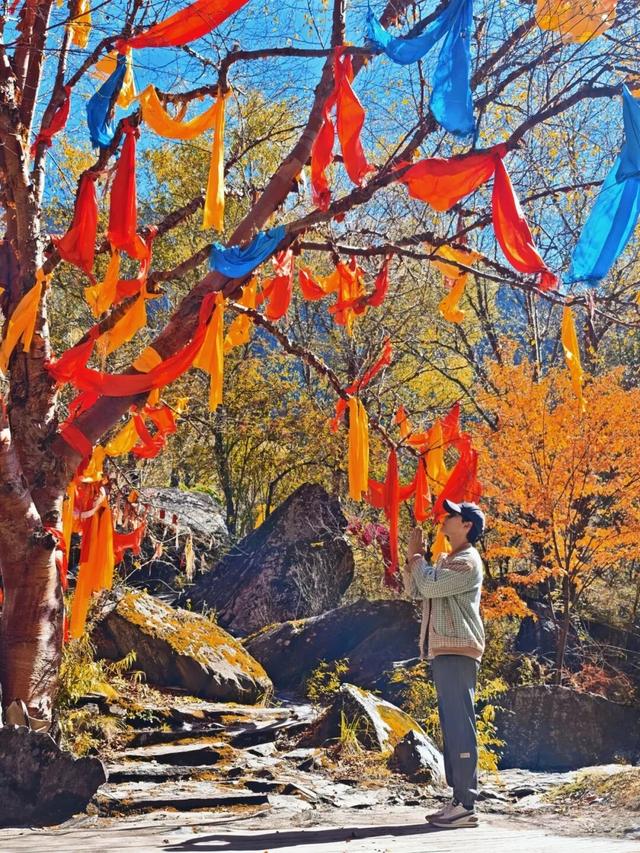 松坪沟彩林已“封神”！泡暖泉、赏非遗打铁花，这波三重盛宴错过等一年！