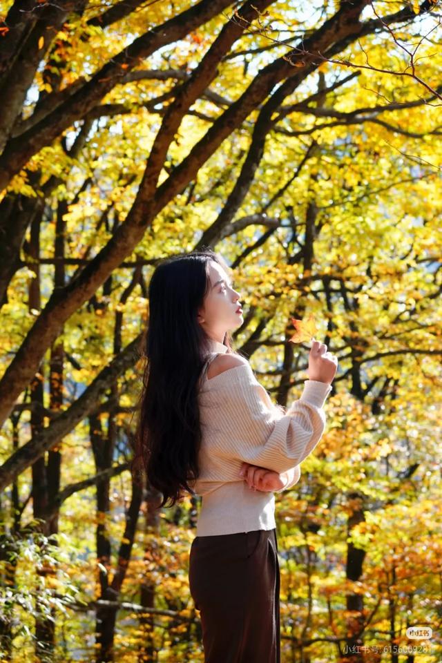 叮!龙头山秋日余额已不足!期待新一轮的冬雪到来~