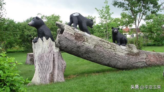 东方红，我拿什么来爱你（下）东方红小镇的“魅力”