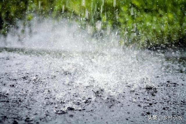 今日“处暑”，老人说最怕“处暑一日雨”，处暑下雨啥预兆？