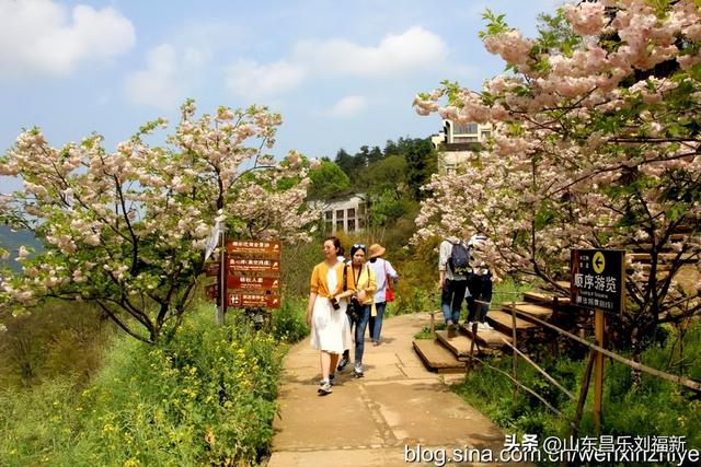 婺源篁岭旅游札记[三]（江西之旅第四十五篇）