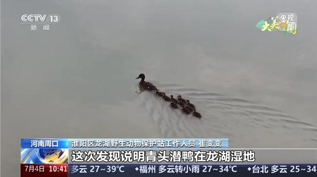 央视聚焦30余次！河南文旅多彩活动畅爽一夏