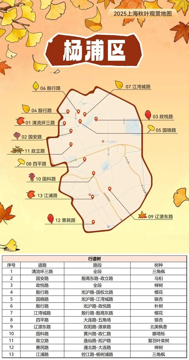 2025上海秋叶地图出炉,徐汇这些点位不可错过!