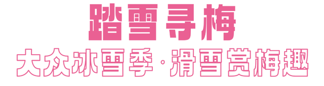 武汉新年去哪玩？来黄陂与万千星光共赴2026！