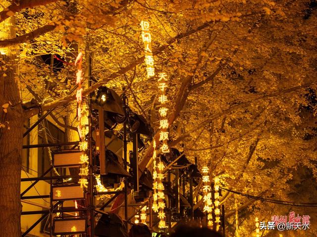 光影璀璨+演艺添彩！秦州黄金大道夜间魅力拉满