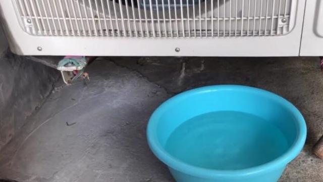 空调滴下来的水，比空调还“值钱”！很多人不知道有啥用，赶紧看