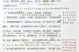五语下2《祖父的园子》课文笔记（新版）+知识点汇总【提前预习】图片