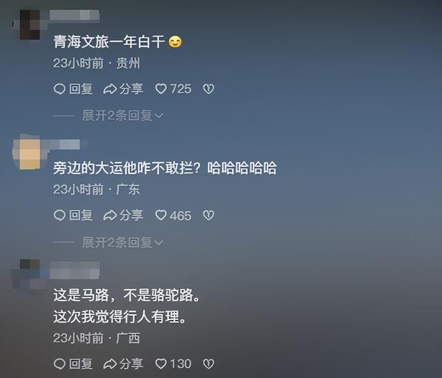 摩旅青海被牧民打头后续！7峰骆驼丢失，骑手其实挨得不冤