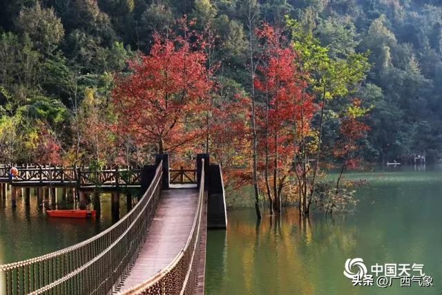 提醒!元旦来广西玩的朋友注意 较强冷空气来袭 降温5~7℃+阴雨+大风 出行攻略速存→