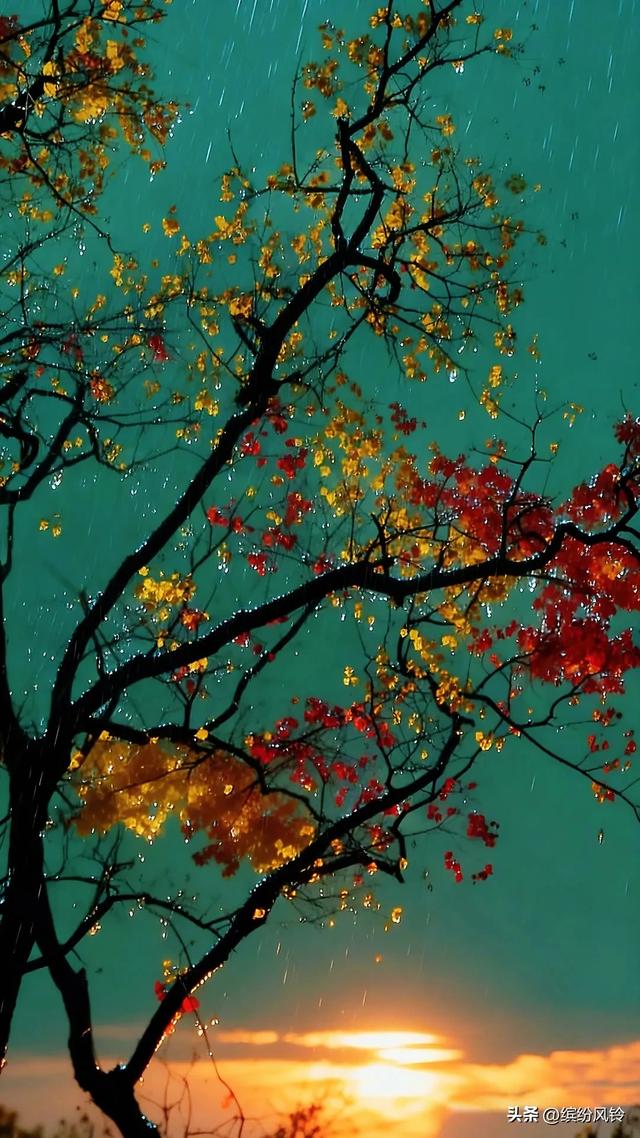 风捎来冬的来意，枝桠仍守着秋的姿态