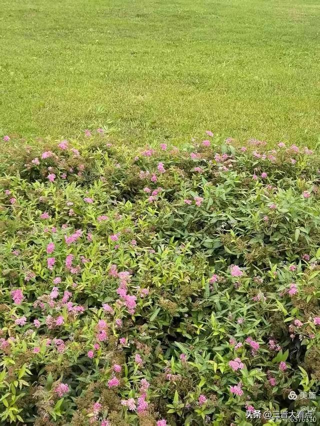 秋雨绵绵漳泽湖