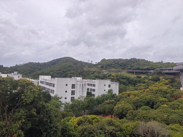 西丽湖国际科教城绿道高清随拍
