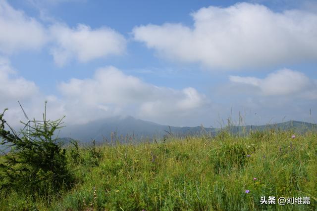 沽源草原天路东线观景