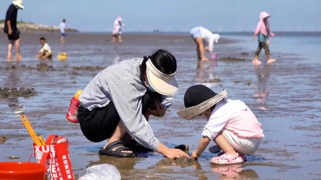 龙威赶海垂钓园:趣味不停歇 赶海乐趣正当时