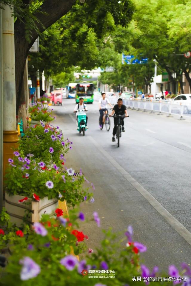 花都临夏市：晴有暖阳 云有絮语 风雨皆成风景