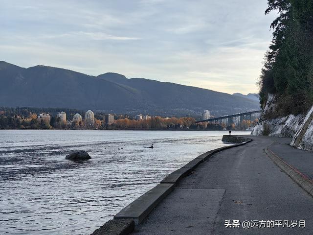 温哥华游记（四）