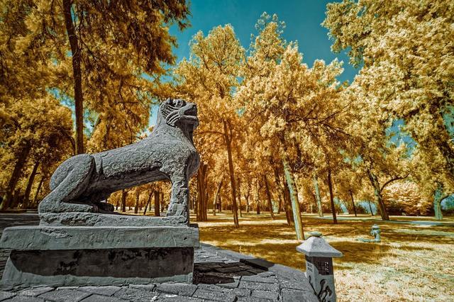 我是北京人，去趟洛阳后	，实在忍不住想说说：洛阳市的10个印象点