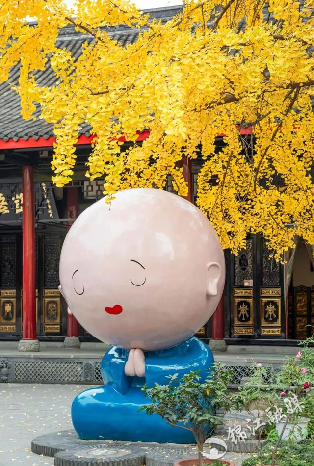 【美丽四川】一年一度朋友圈银杏比美时刻又来了！