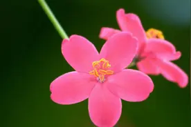 男女交往聊天时，女生发“嗯”和发“嗯嗯”分别是这些意思图片