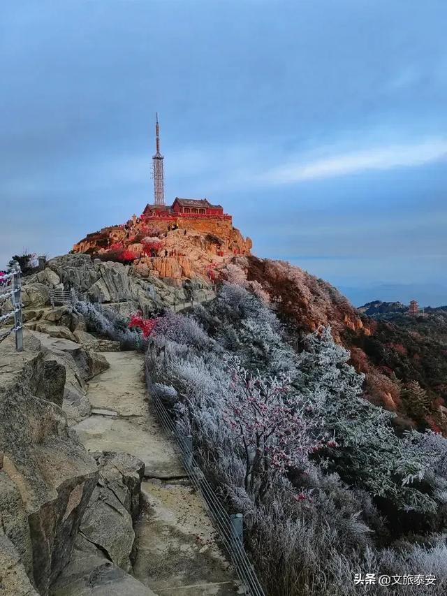 超震撼!气温骤降 泰山现秋日雾凇景观
