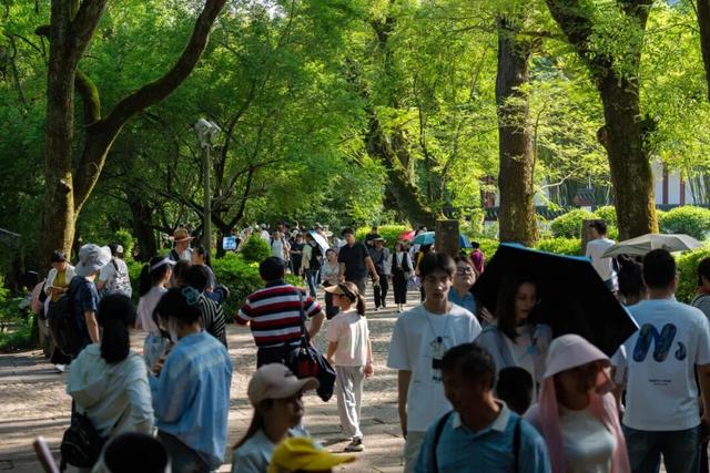 双节来武夷，武夷山把“宠游客”玩明白了！10大暖心招让假期幸福感拉满