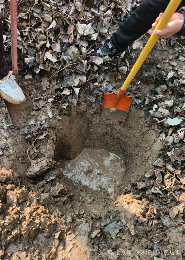 奇观！郑州南部多处历史泉眼集体复涌，形成温泉小河引围观