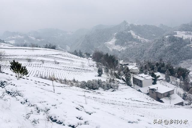 今日大雪，老人说“冷不冷，就看大雪	”	，今年冬天是冷冬吗？