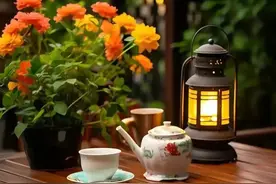 时光老去，岁月苍凉，一半无欲以从简，一半清净许清欢图片