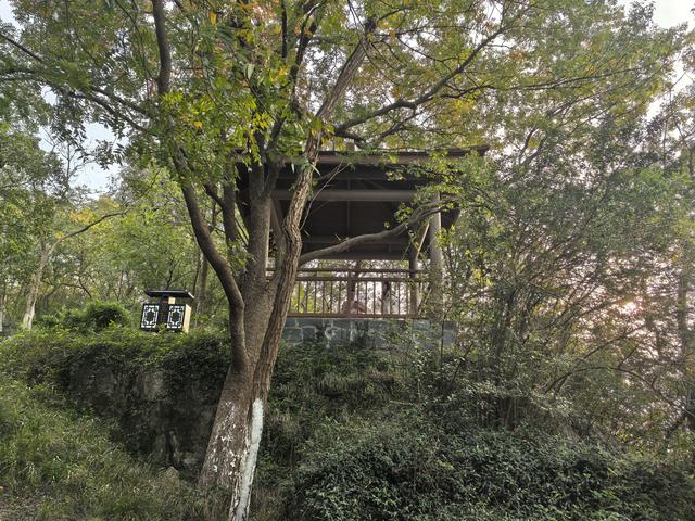 南京幕府山郊野徒步