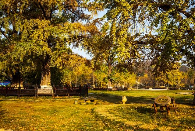 不藏了！随州美景这样玩不后悔！