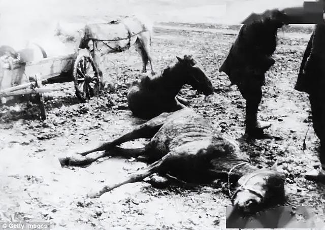 被称戏台上的国家！旅游受限、榜样塑造，朝鲜的表演竟源自苏联